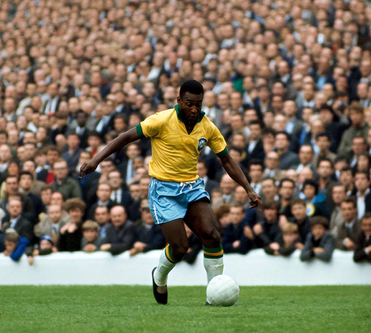 天然支持长 天然支持长